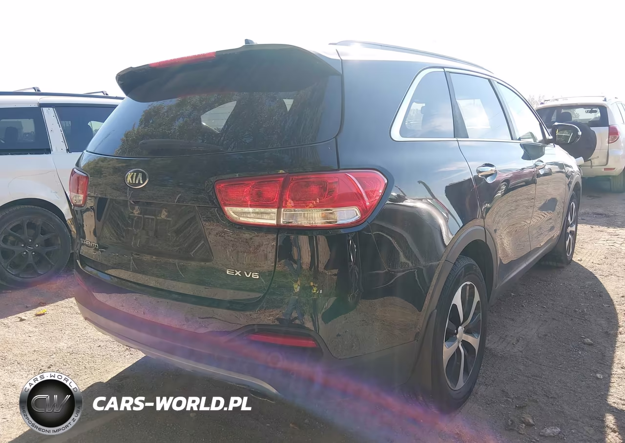2016 Kia Sorento 3.3L Ex VIN:5XYPHDA58GG142044 - 4