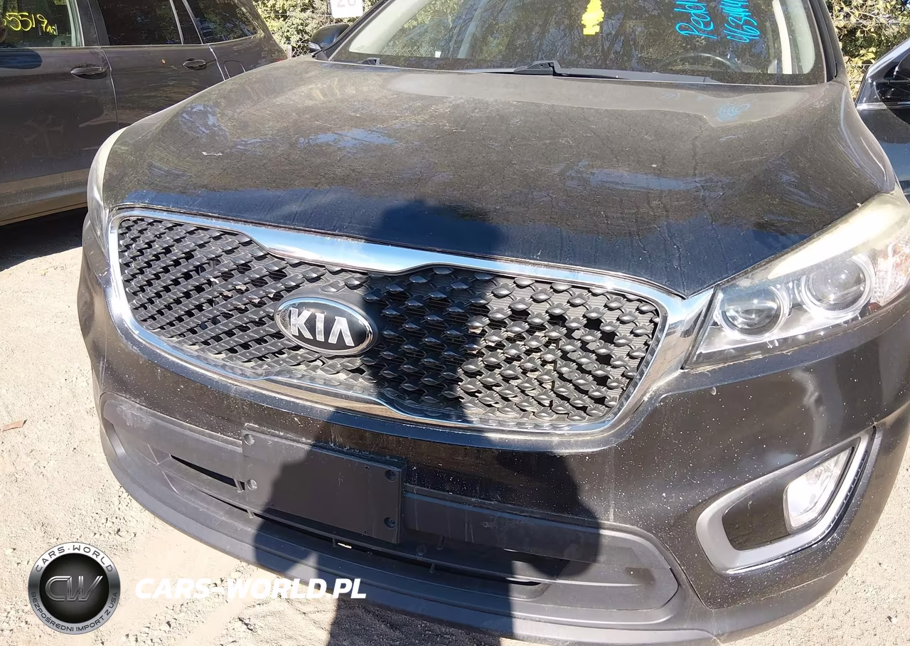 2016 Kia Sorento 3.3L Ex VIN:5XYPHDA58GG142044 - 6