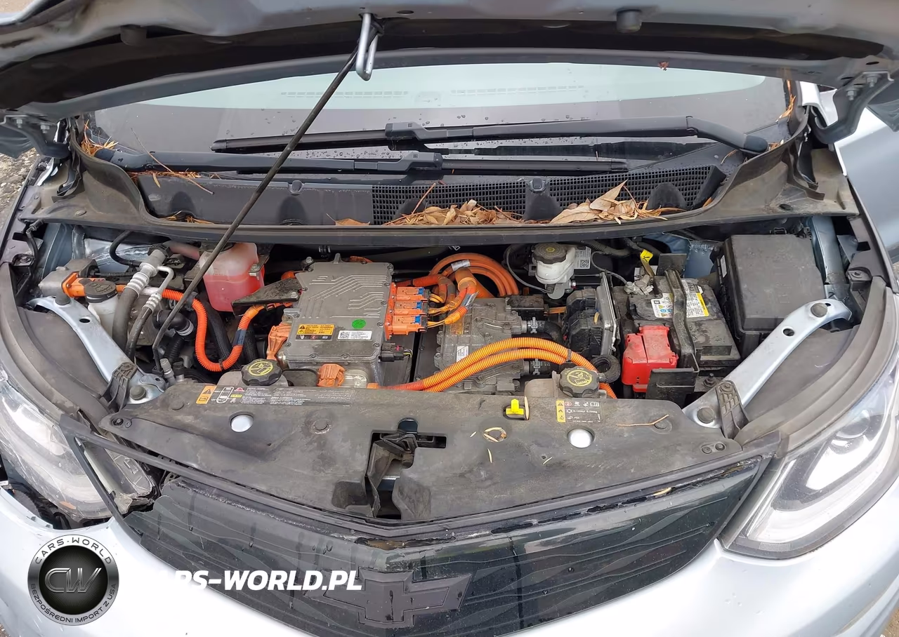 2018 Chevrolet Bolt Ev Lt VIN:1G1FW6S0XJ4134865 - 10