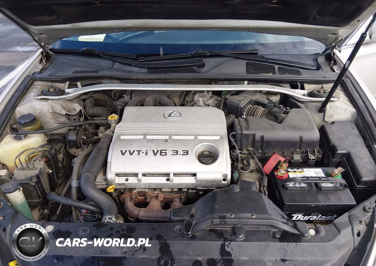 2002 Lexus Es 300 VIN:JTHBF30G520065031 - 10