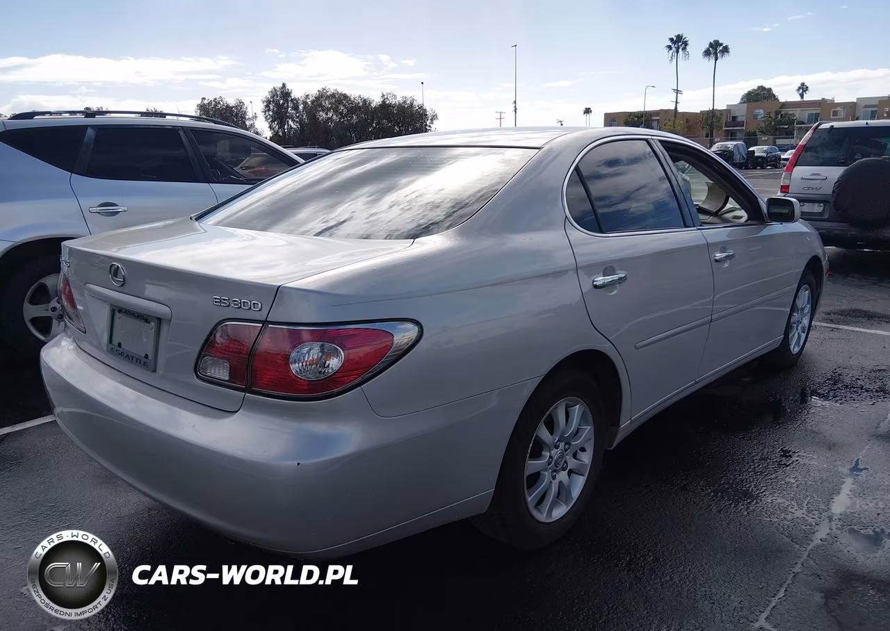 2002 Lexus Es 300 VIN:JTHBF30G520065031 - 4
