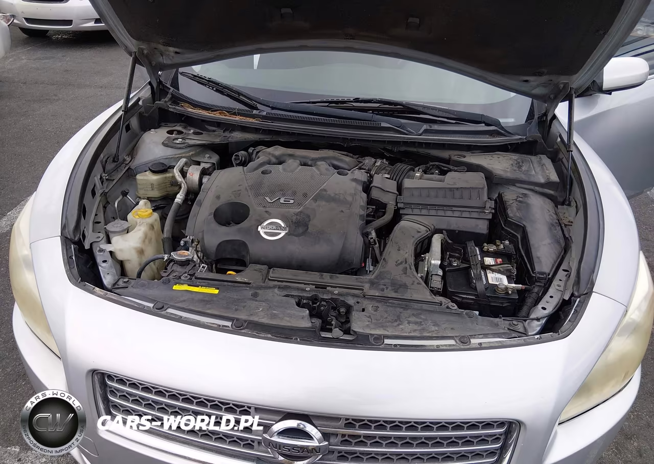 2010 Nissan Maxima 3.5 S VIN:1N4AA5AP9AC856204 - 10