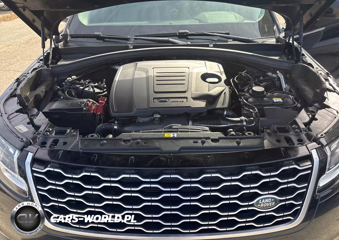 2019 Land Rover Range Rover Velar P250 VIN:SALYA2EX2KA217265 - 10