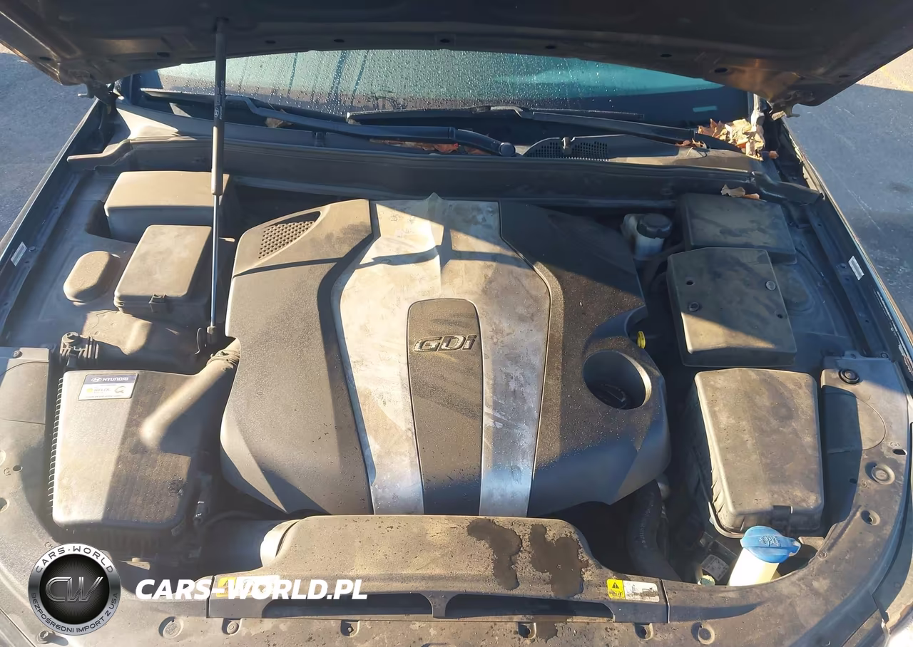 2013 Hyundai Genesis 3.8 VIN:KMHGC4DD3DU213142 - 10