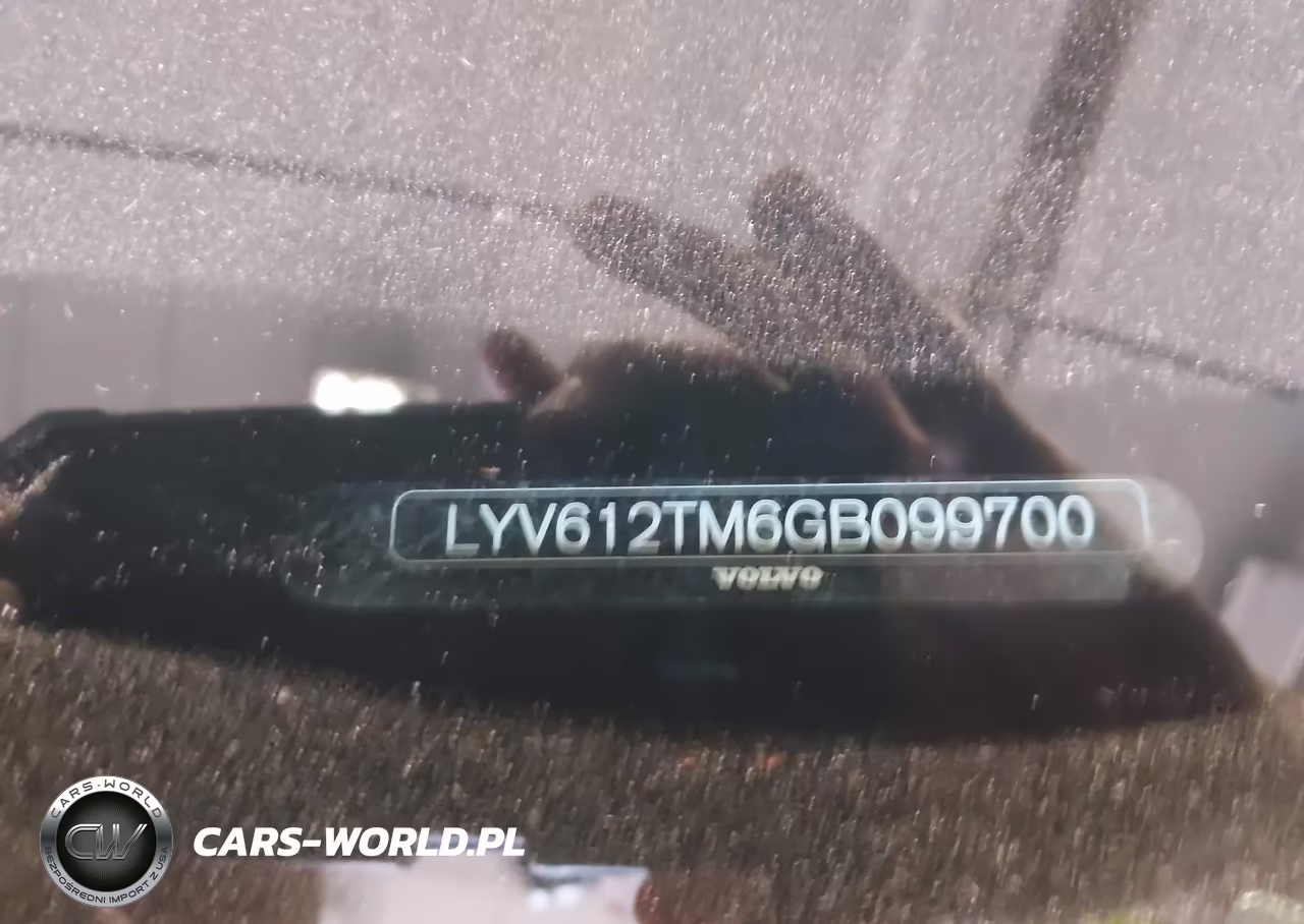 VOLVO S60 PLATIN VIN:LYV612TM6GB099700 - 9