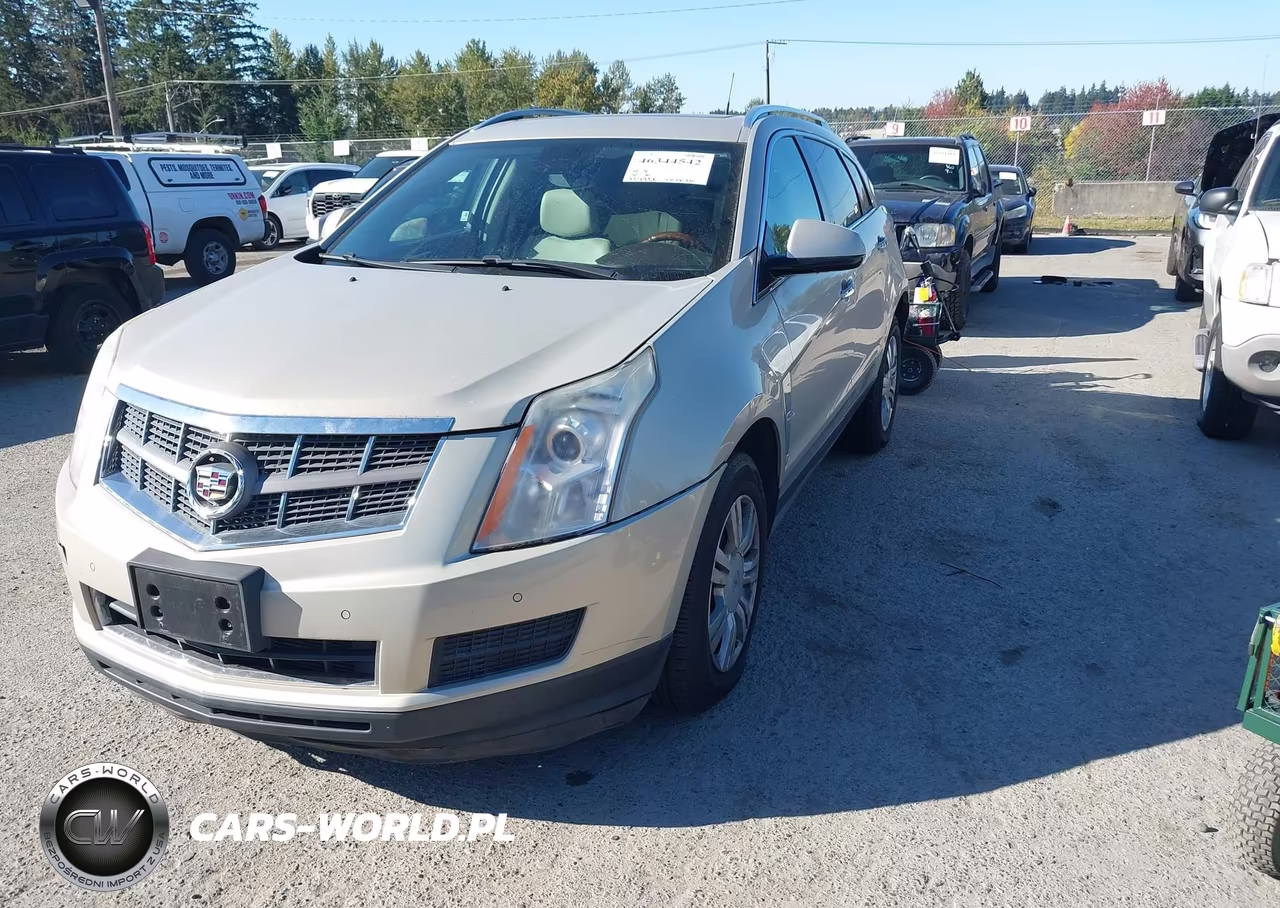 2010 Cadillac Srx Luxury Collection VIN:3GYFNAEY9AS573869 - 2