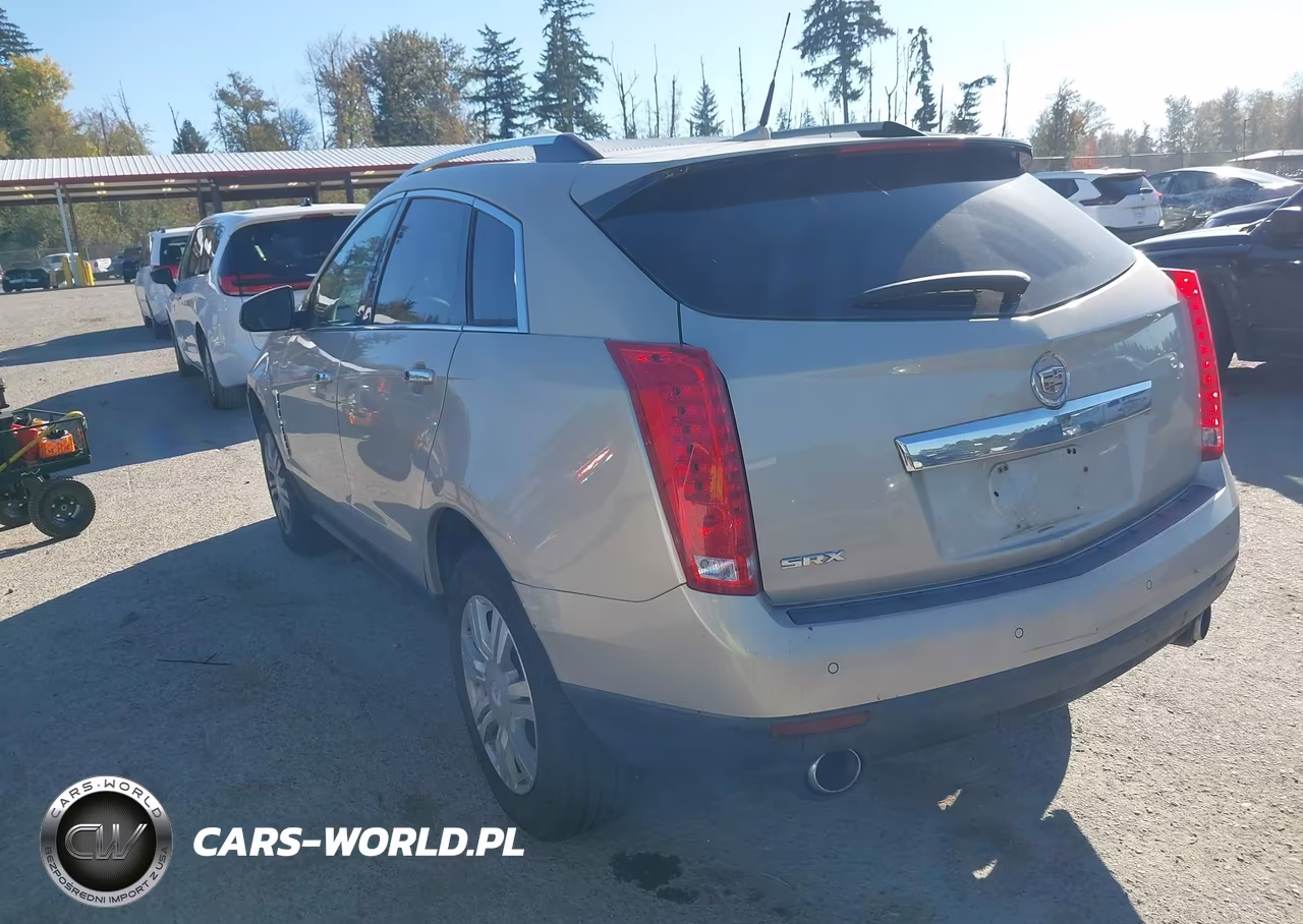 2010 Cadillac Srx Luxury Collection VIN:3GYFNAEY9AS573869 - 3