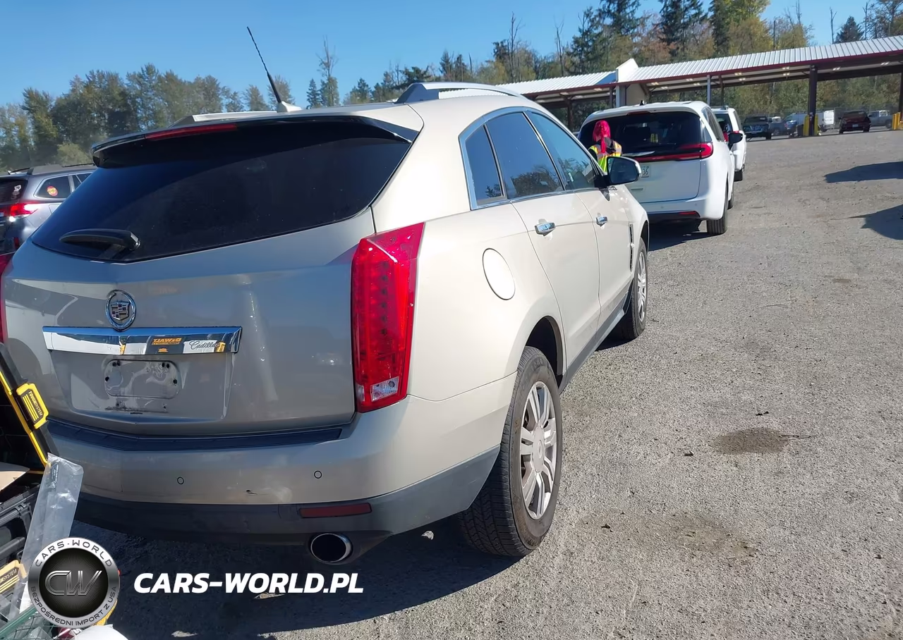 2010 Cadillac Srx Luxury Collection VIN:3GYFNAEY9AS573869 - 4