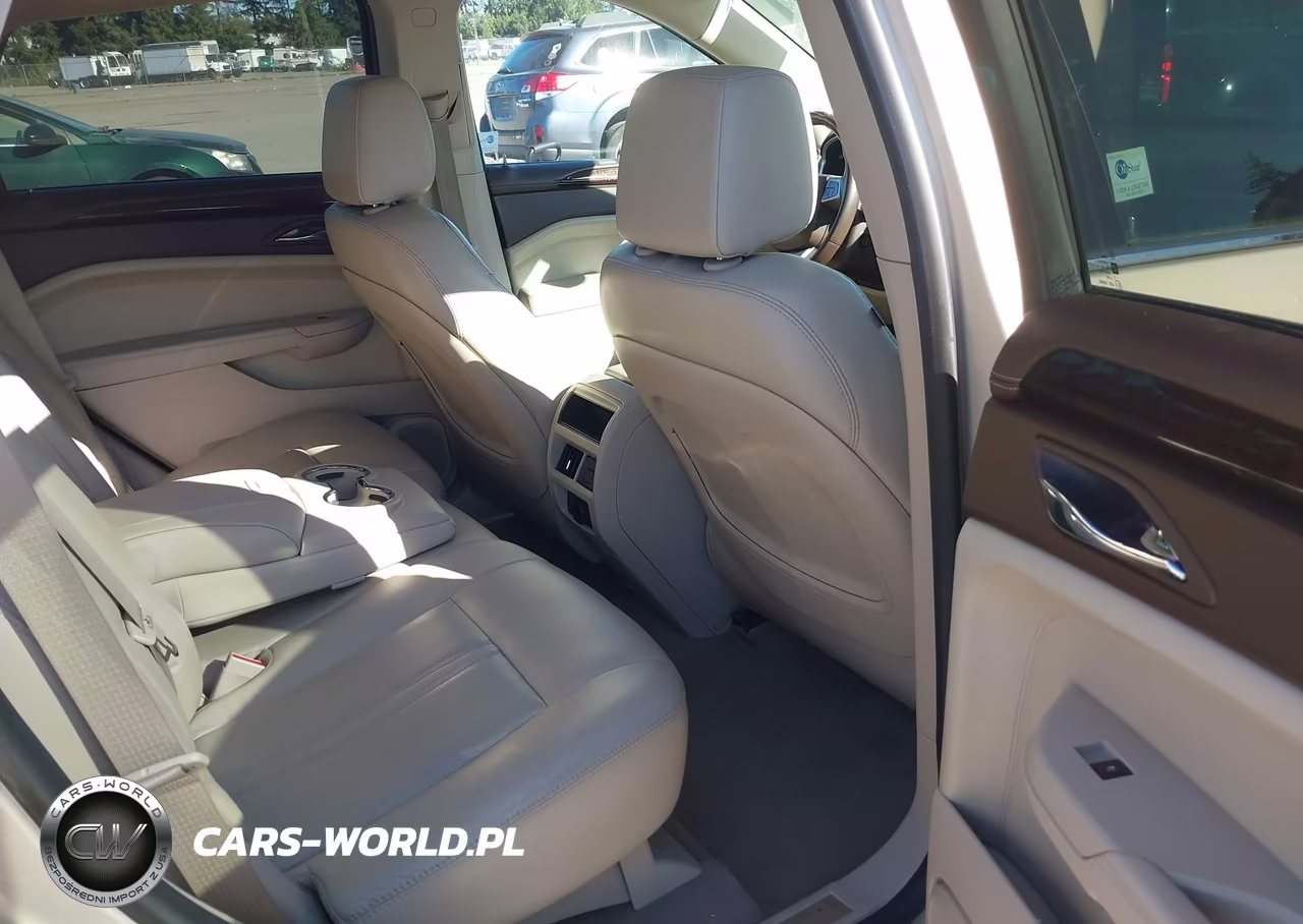 2010 Cadillac Srx Luxury Collection VIN:3GYFNAEY9AS573869 - 8