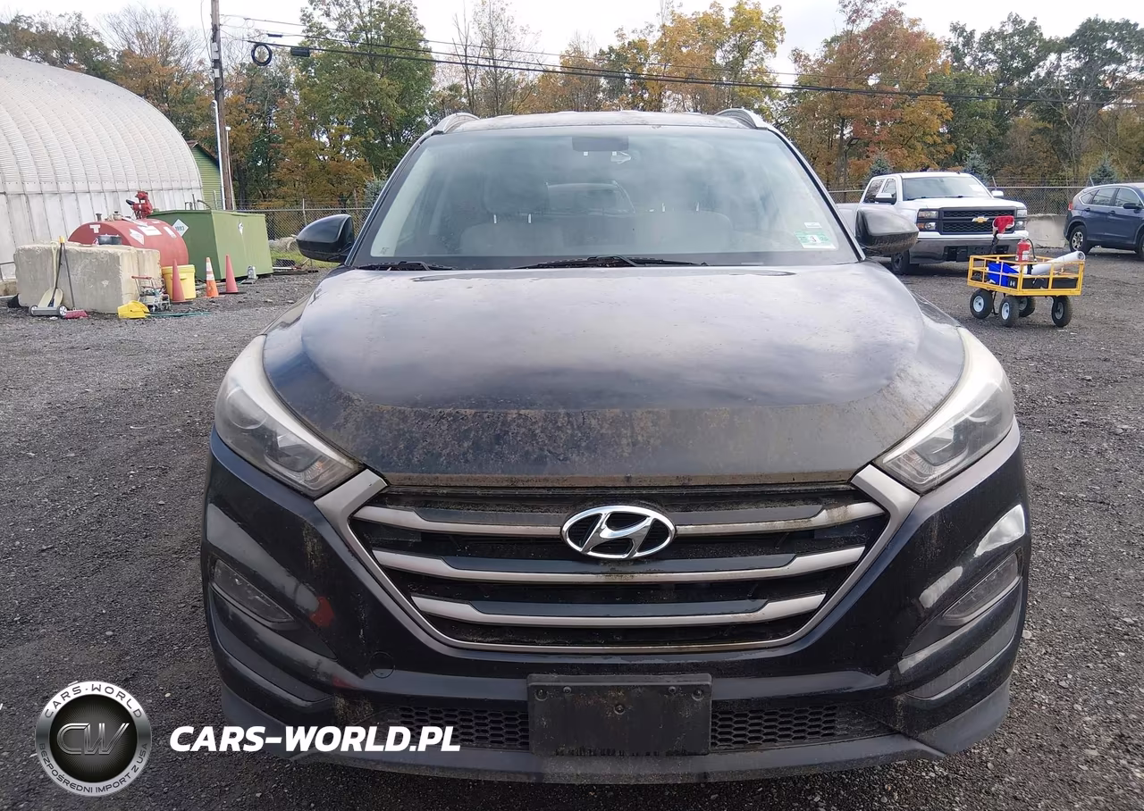 2016 Hyundai Tucson Se VIN:KM8J3CA42GU168767 - 12
