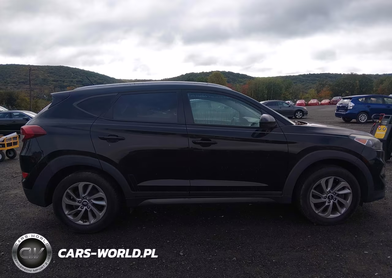 2016 Hyundai Tucson Se VIN:KM8J3CA42GU168767 - 13