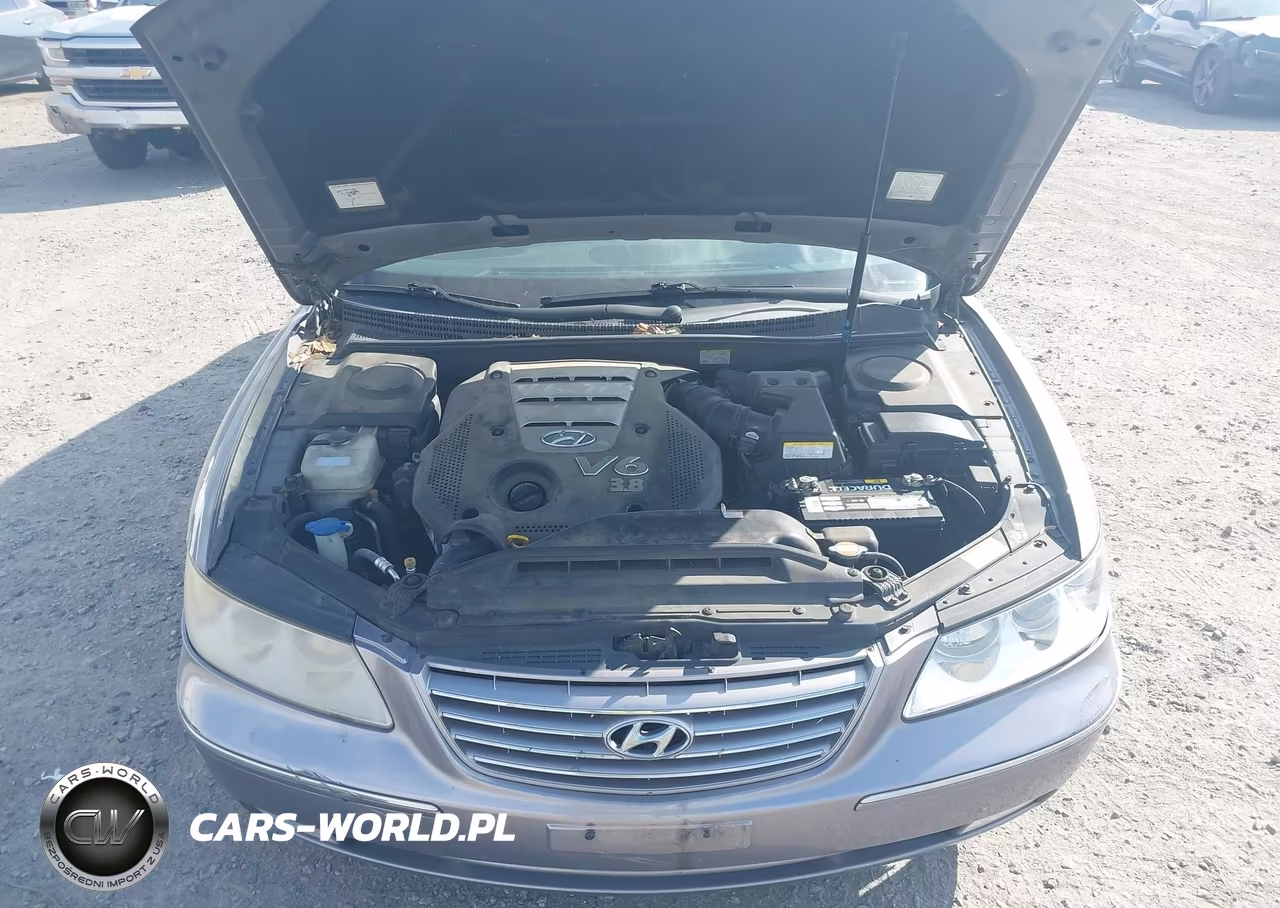 2006 Hyundai Azera Limited-Se VIN:KMHFC46F66A096672 - 10