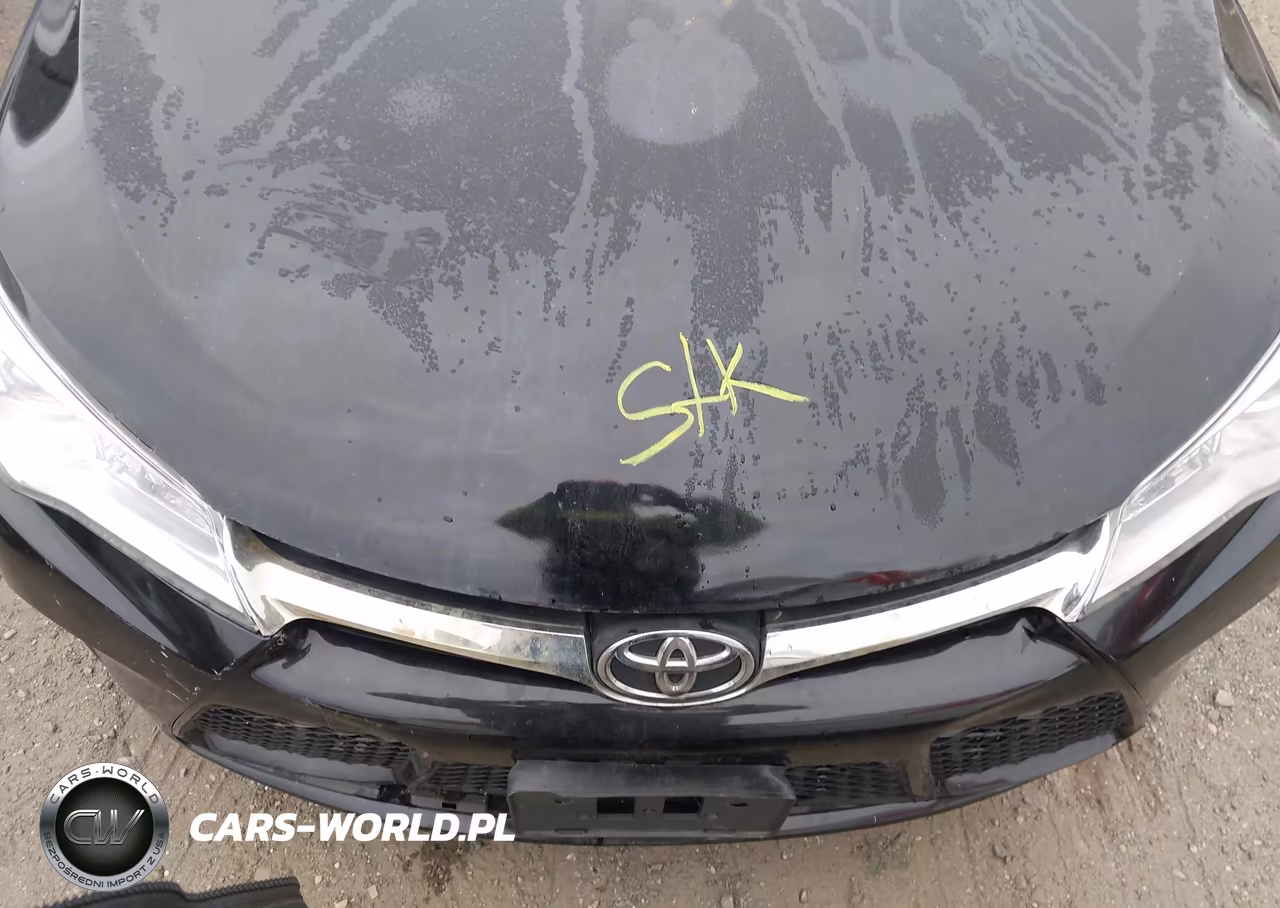 2016 Toyota Camry Se VIN:4T1BF1FKXGU202834 - 10