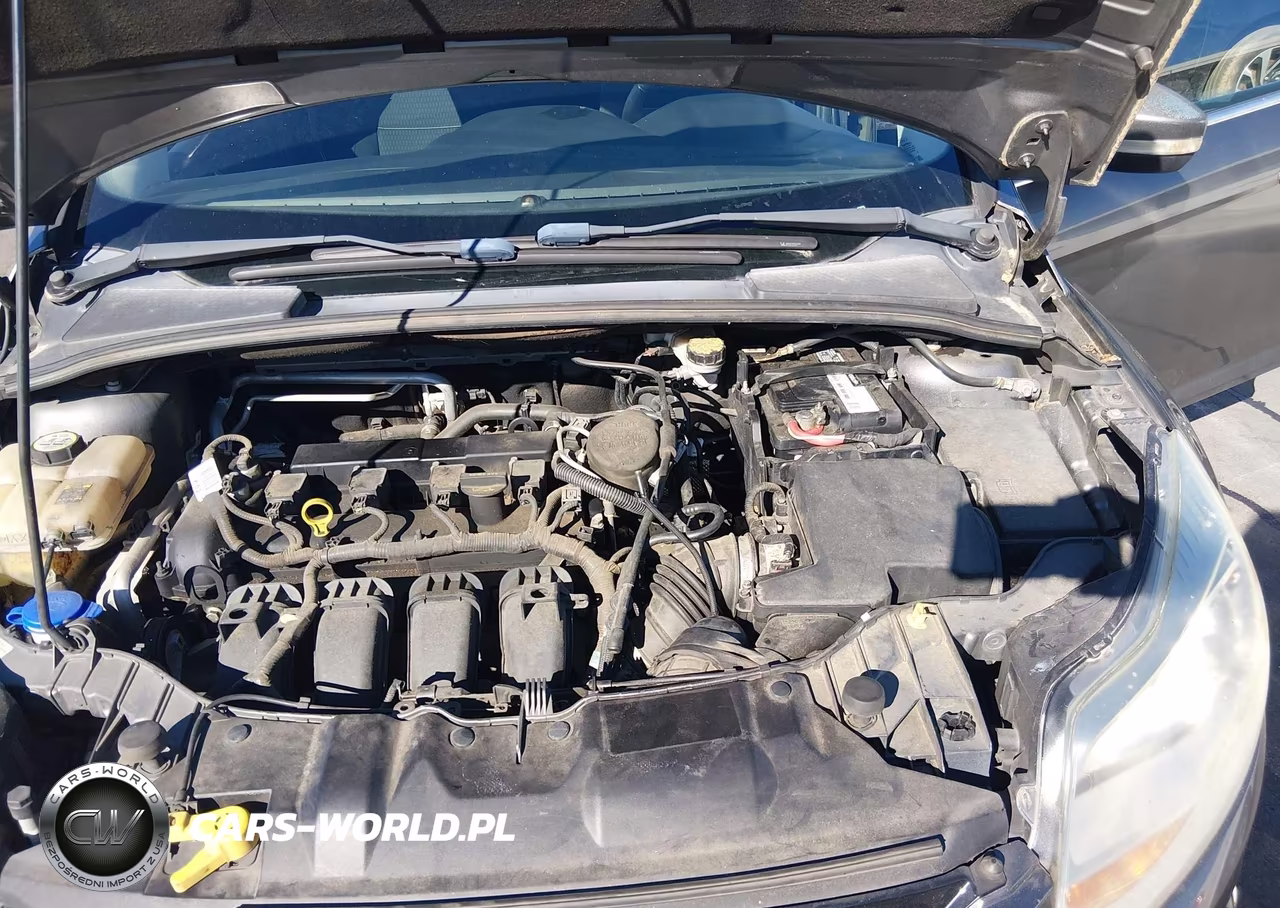 2012 Ford Focus Sel VIN:1FAHP3M20CL316941 - 10