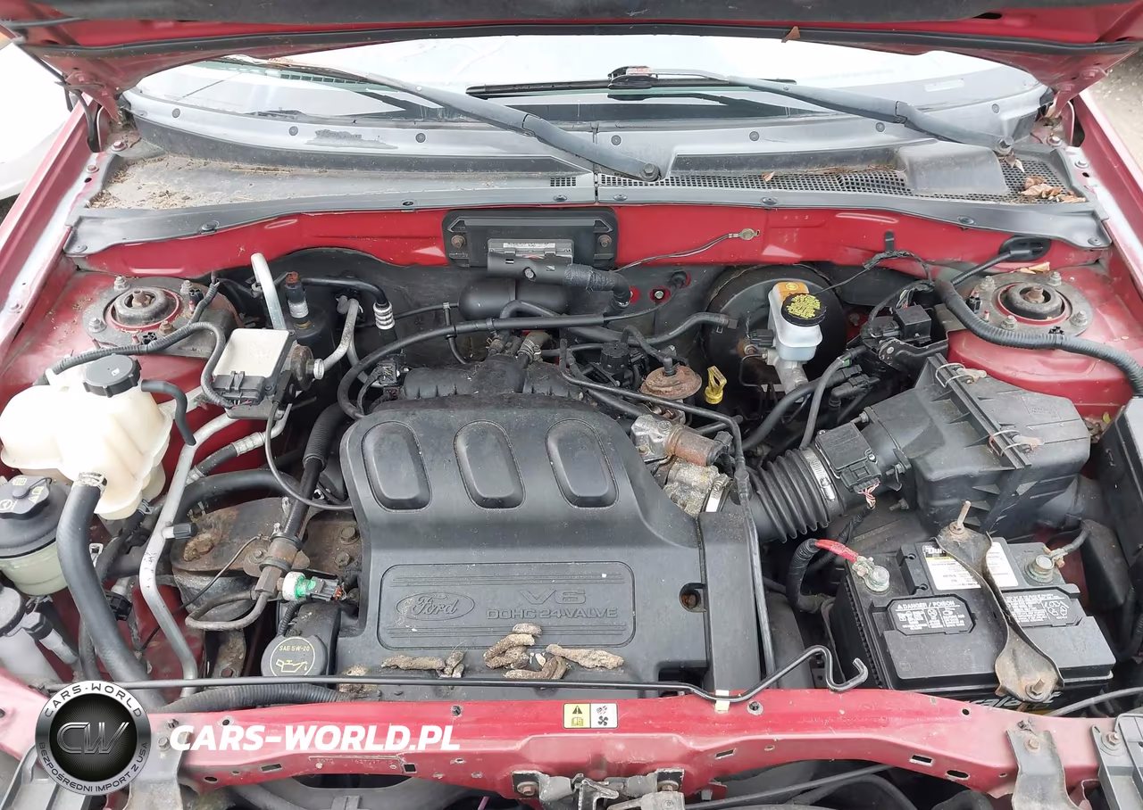 2004 Ford Escape Xlt VIN:1FMYU93124KA89012 - 10