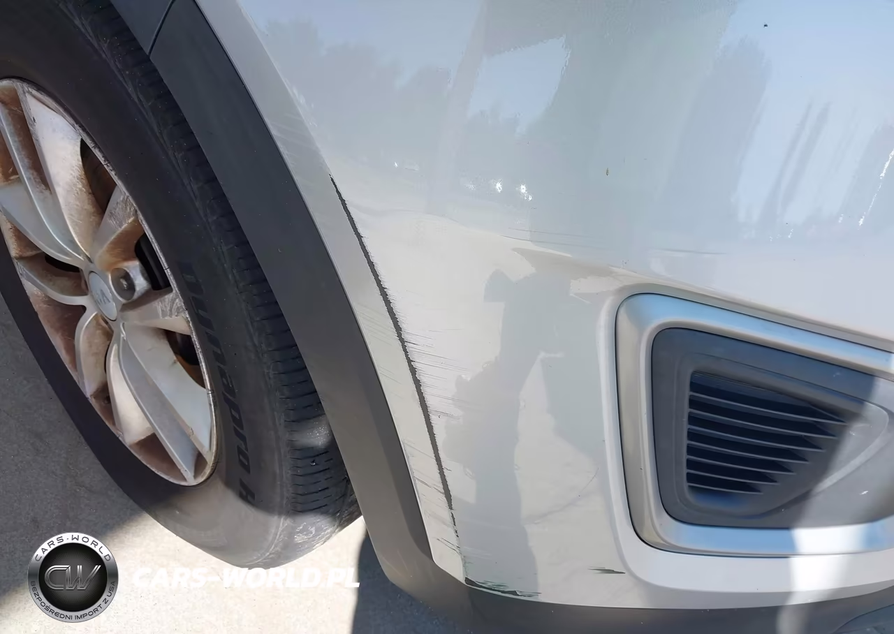 2017 Kia Sorento 3.3L Lx VIN:5XYPGDA50HG320341 - 12
