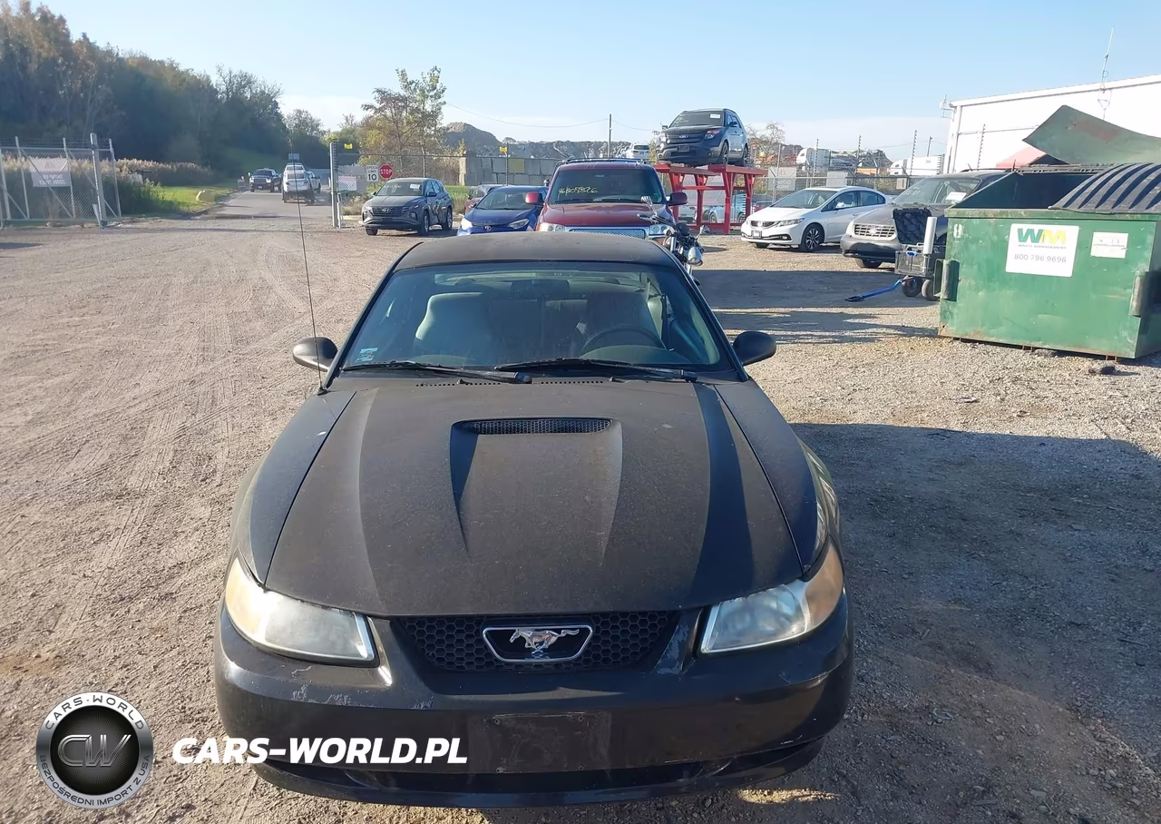 1999 Ford Mustang Gt VIN:1FAFP42X9XF170331 - 6