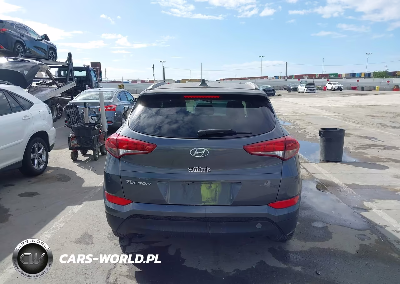 2018 Hyundai Tucson Sel VIN:KM8J33A44JU672132 - 16