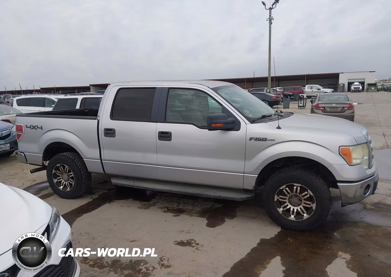 2010 Ford F-150 Fx4-Harley-Davidson-King Ranch-Lariat-Platinum-Xl-Xlt VIN:1FTFW1EV6AKE06079 - 13