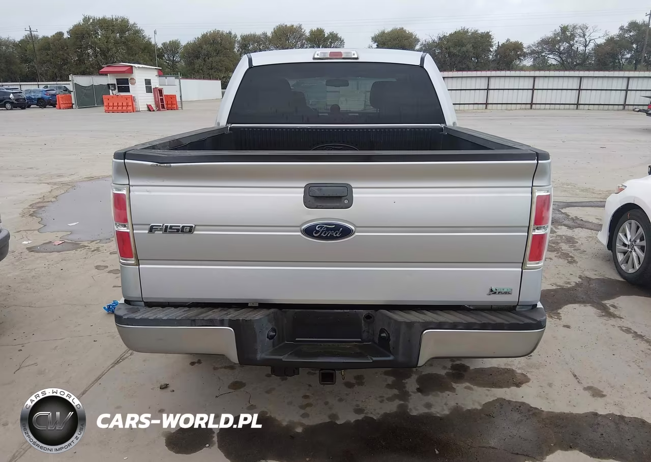2010 Ford F-150 Fx4-Harley-Davidson-King Ranch-Lariat-Platinum-Xl-Xlt VIN:1FTFW1EV6AKE06079 - 16
