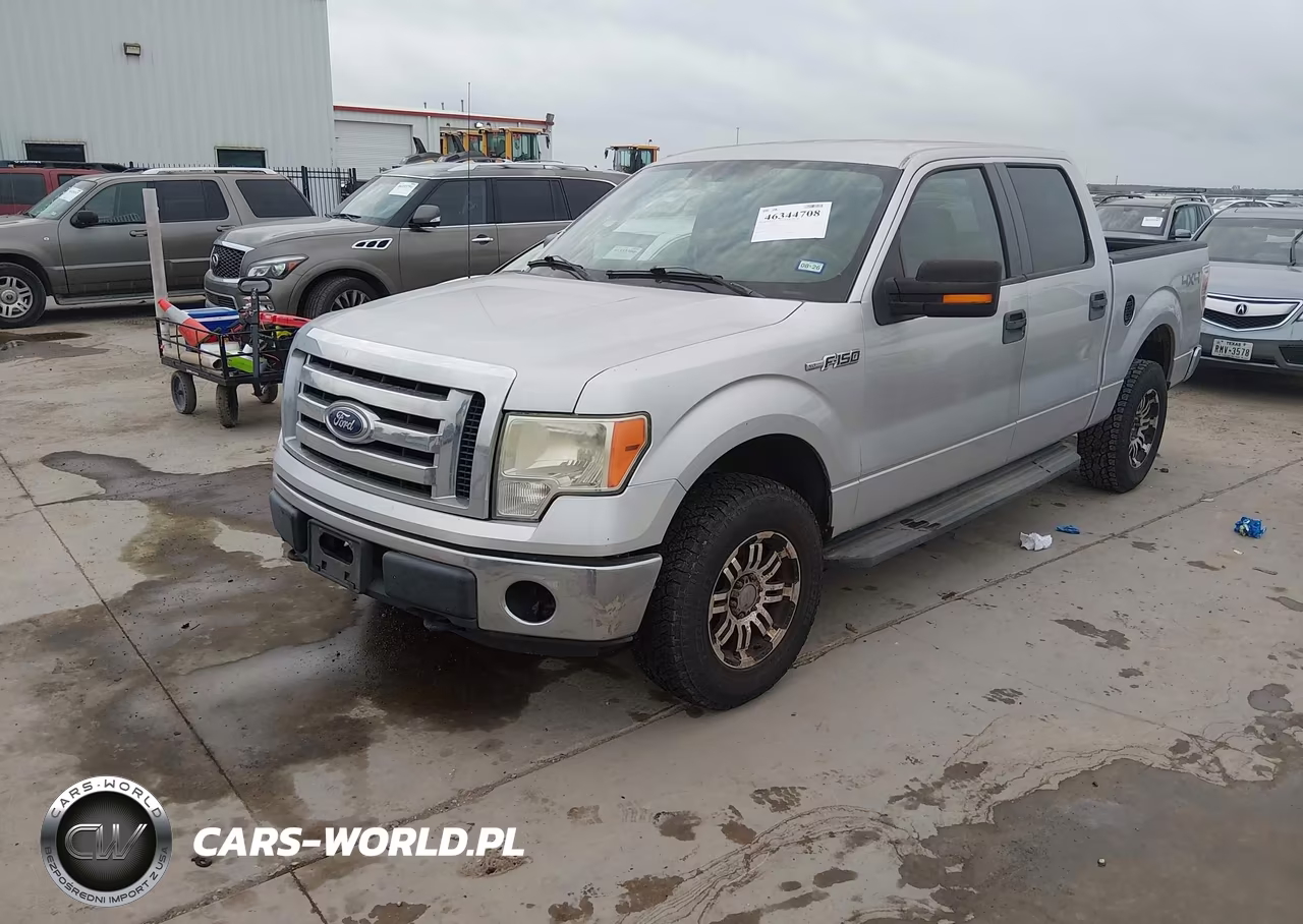 2010 Ford F-150 Fx4-Harley-Davidson-King Ranch-Lariat-Platinum-Xl-Xlt VIN:1FTFW1EV6AKE06079 - 2
