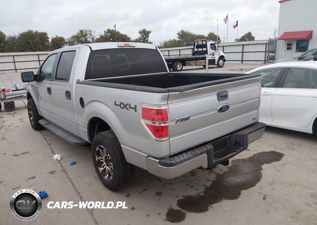 2010 Ford F-150 Fx4-Harley-Davidson-King Ranch-Lariat-Platinum-Xl-Xlt VIN:1FTFW1EV6AKE06079 - 3