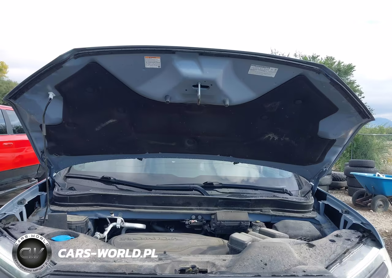 2023 Honda Passport Awd Trailsport VIN:5FNYF8H66PB000783 - 10