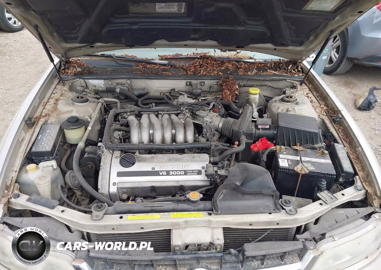 1997 Nissan Maxima Gle-Gxe-Se VIN:JN1CA21D6VM525218 - 10