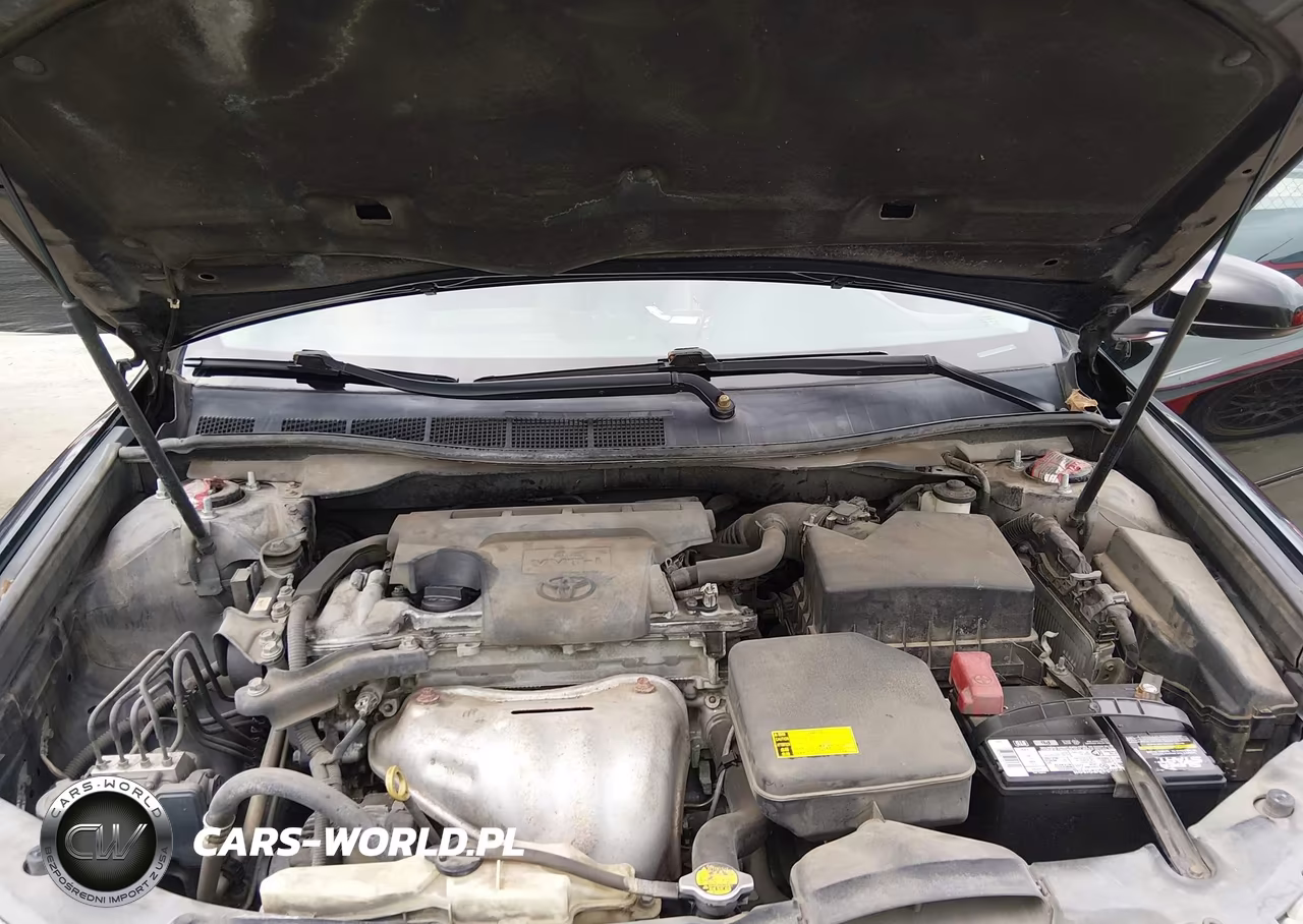 2013 Toyota Camry Xle VIN:4T1BF1FK3DU672621 - 10