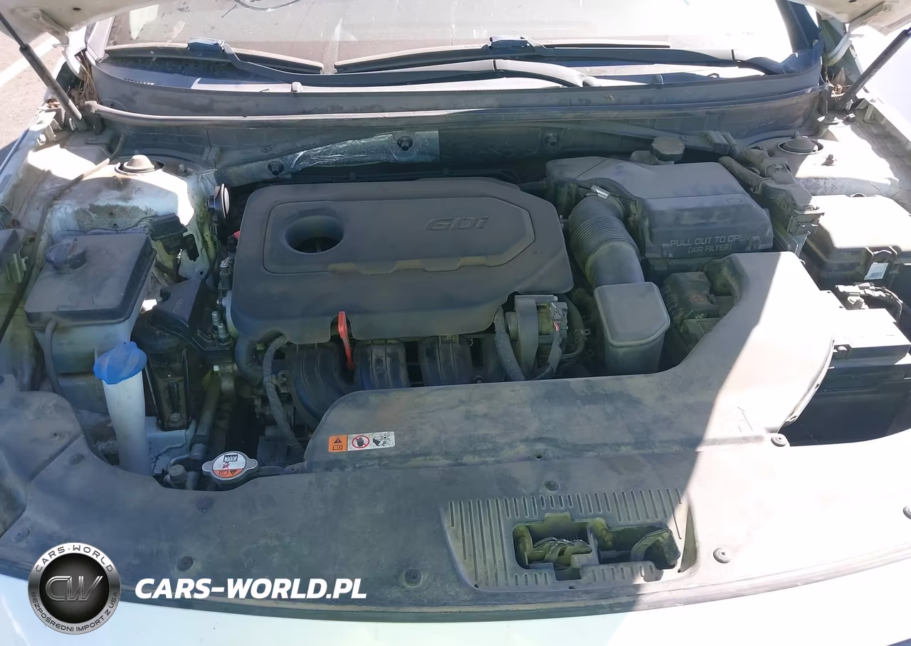 2016 Hyundai Sonata Sport VIN:5NPE34AF6GH321495 - 10