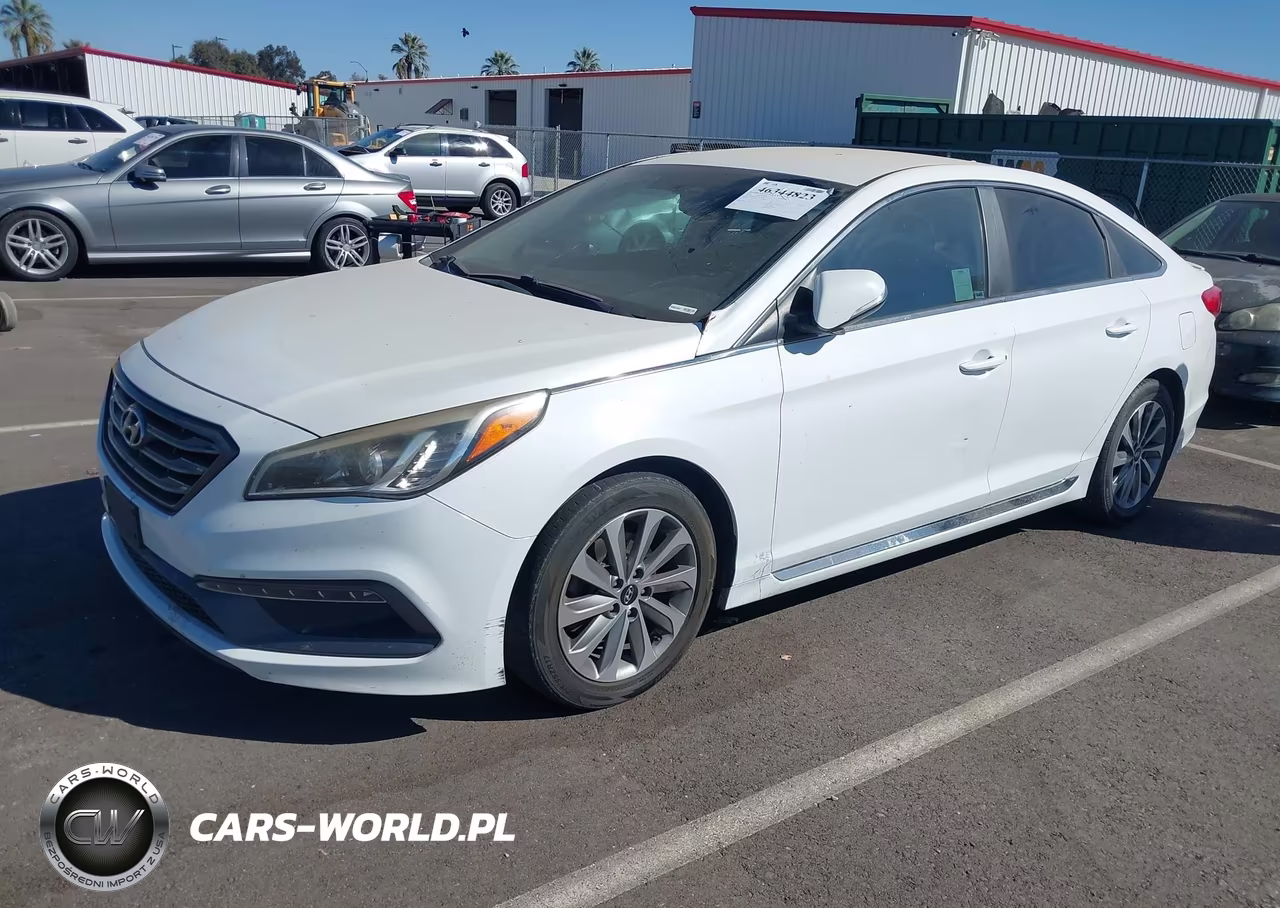 2016 Hyundai Sonata Sport VIN:5NPE34AF6GH321495 - 2