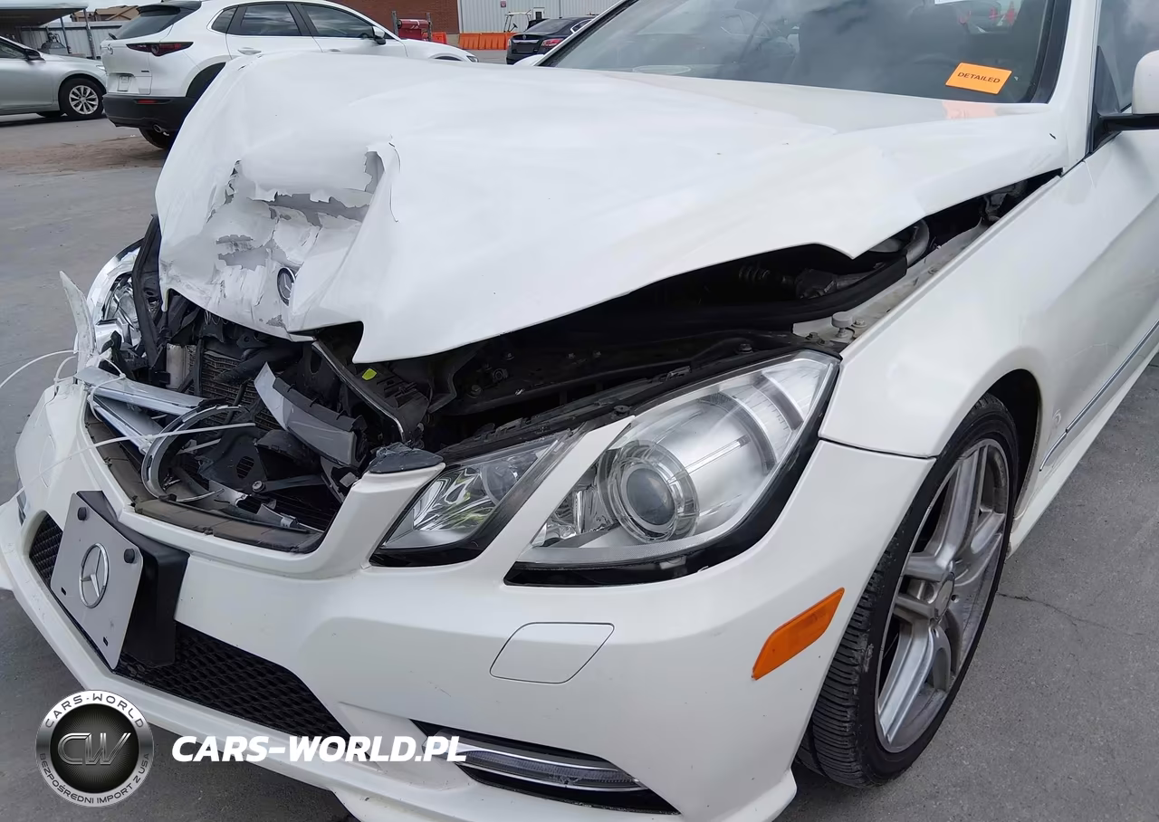 2013 Mercedes-Benz E 550 VIN:WDDKK7DF7DF209741 - 17