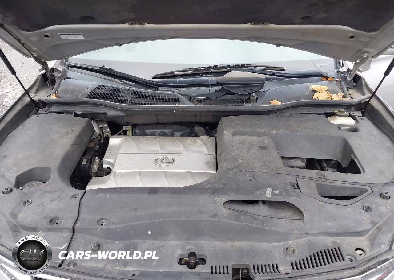 2010 Lexus Rx 350 VIN:2T2ZK1BAXAC008767 - 10