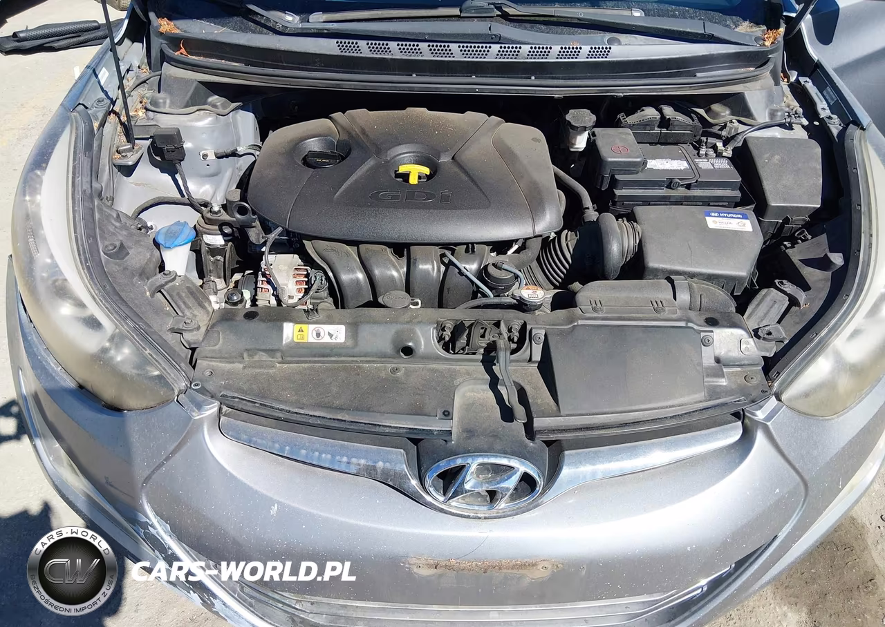 2014 Hyundai Elantra Sport VIN:KMHDH4AH5EU157251 - 10