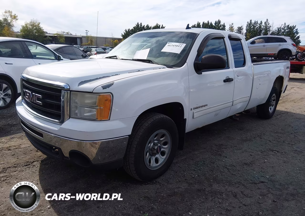 2009 GMC Sierra 1500 Work Truck VIN:1GTEK19J69E149465 - 2