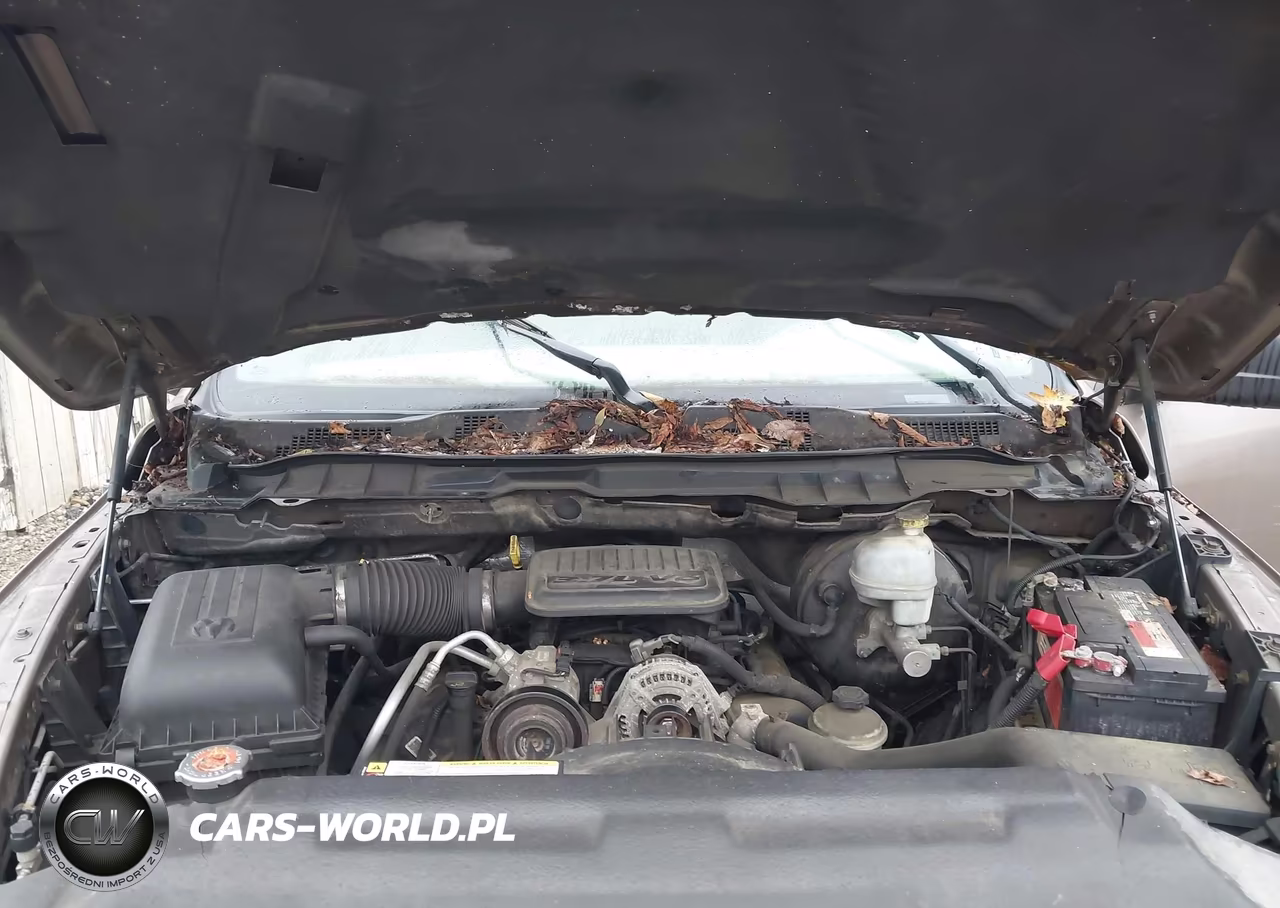 2010 Dodge Ram 1500 St VIN:3D7JB1EK4AG163414 - 10