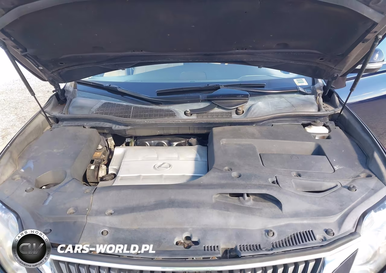 2010 Lexus Rx 350 VIN:2T2ZK1BA5AC016114 - 10