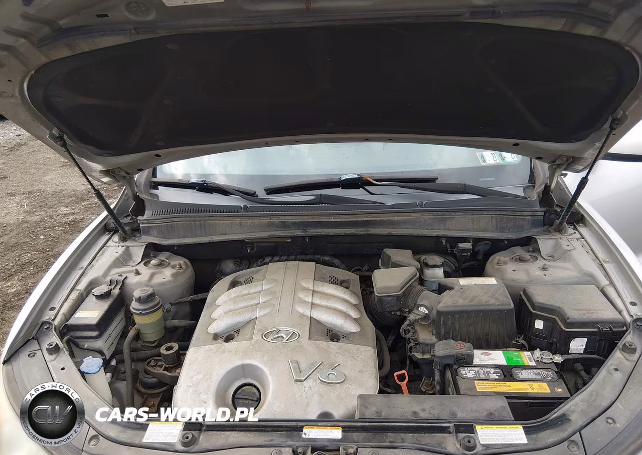 2007 Hyundai Santa Fe Limited-Se VIN:5NMSH13E47H080816 - 10