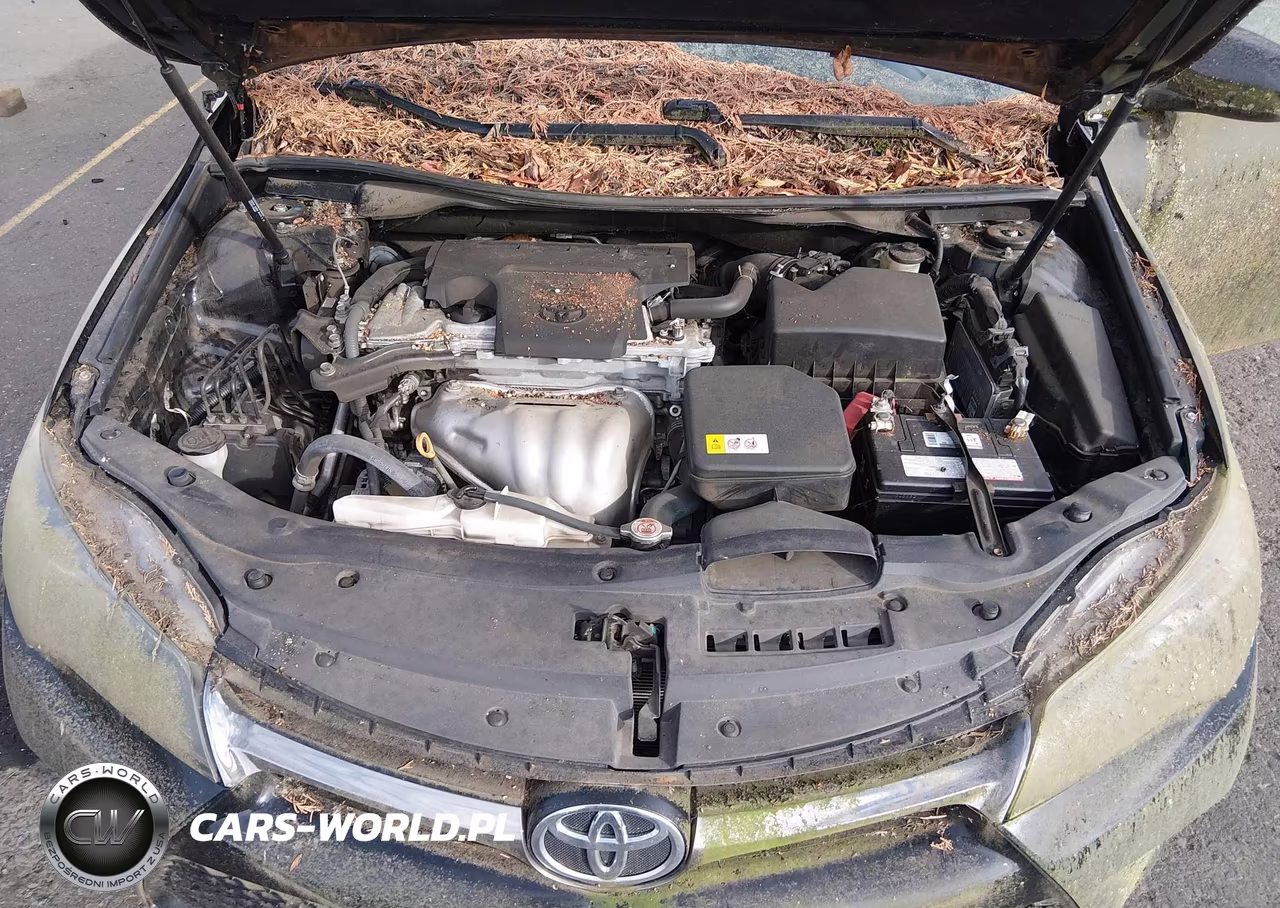 2017 Toyota Camry Se VIN:4T1BF1FK2HU305952 - 10