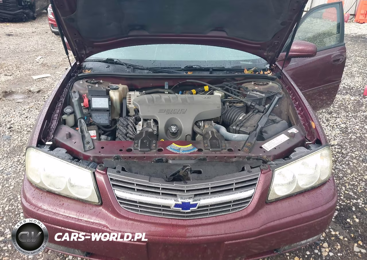 2004 Chevrolet Impala Ls VIN:2G1WH52K249104508 - 10