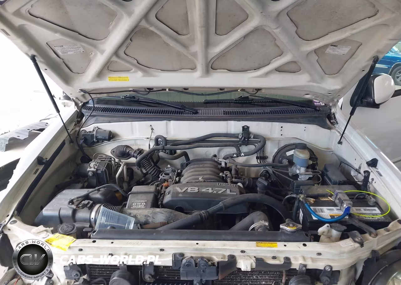 2006 Toyota Sequoia Limited V8 VIN:5TDZT38A06S275452 - 10