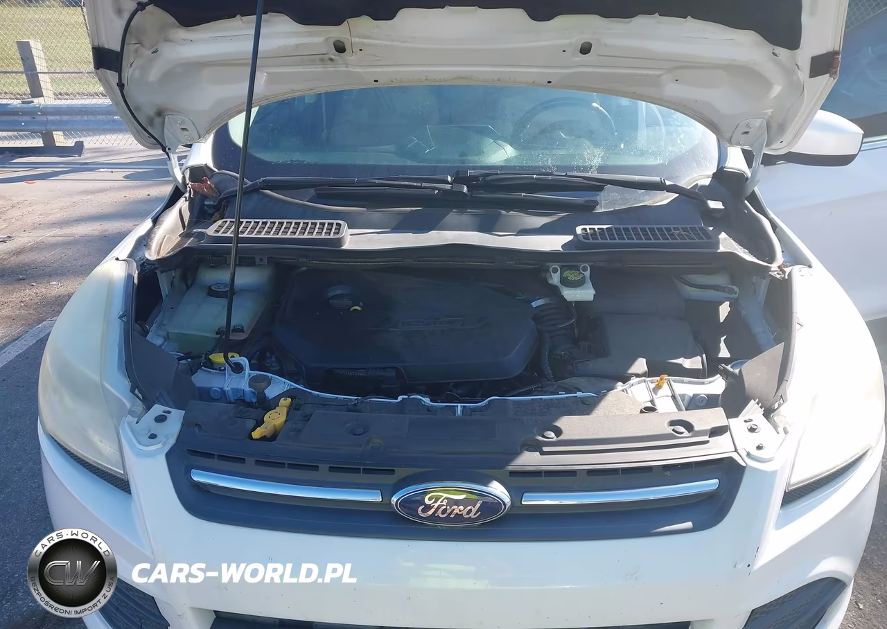 2014 Ford Escape Se VIN:1FMCU0GX0EUE46472 - 10