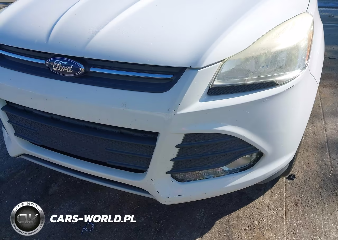 2014 Ford Escape Se VIN:1FMCU0GX0EUE46472 - 12