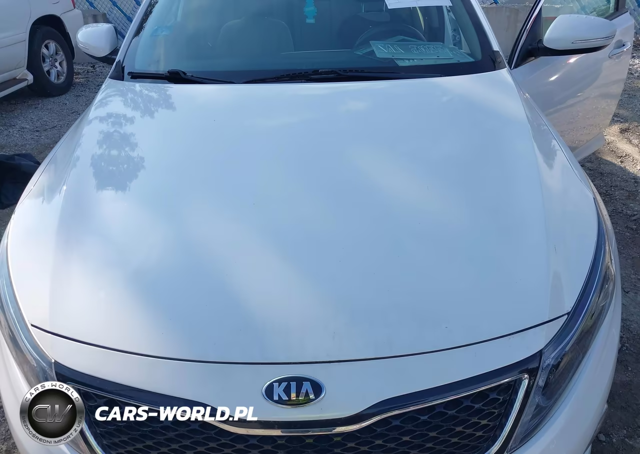 2015 Kia Optima Lx VIN:KNAGM4A72F5610741 - 10