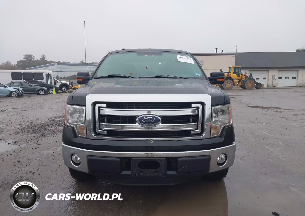 2013 Ford F-150 Xlt VIN:1FTEX1CM8DFD29649 - 12