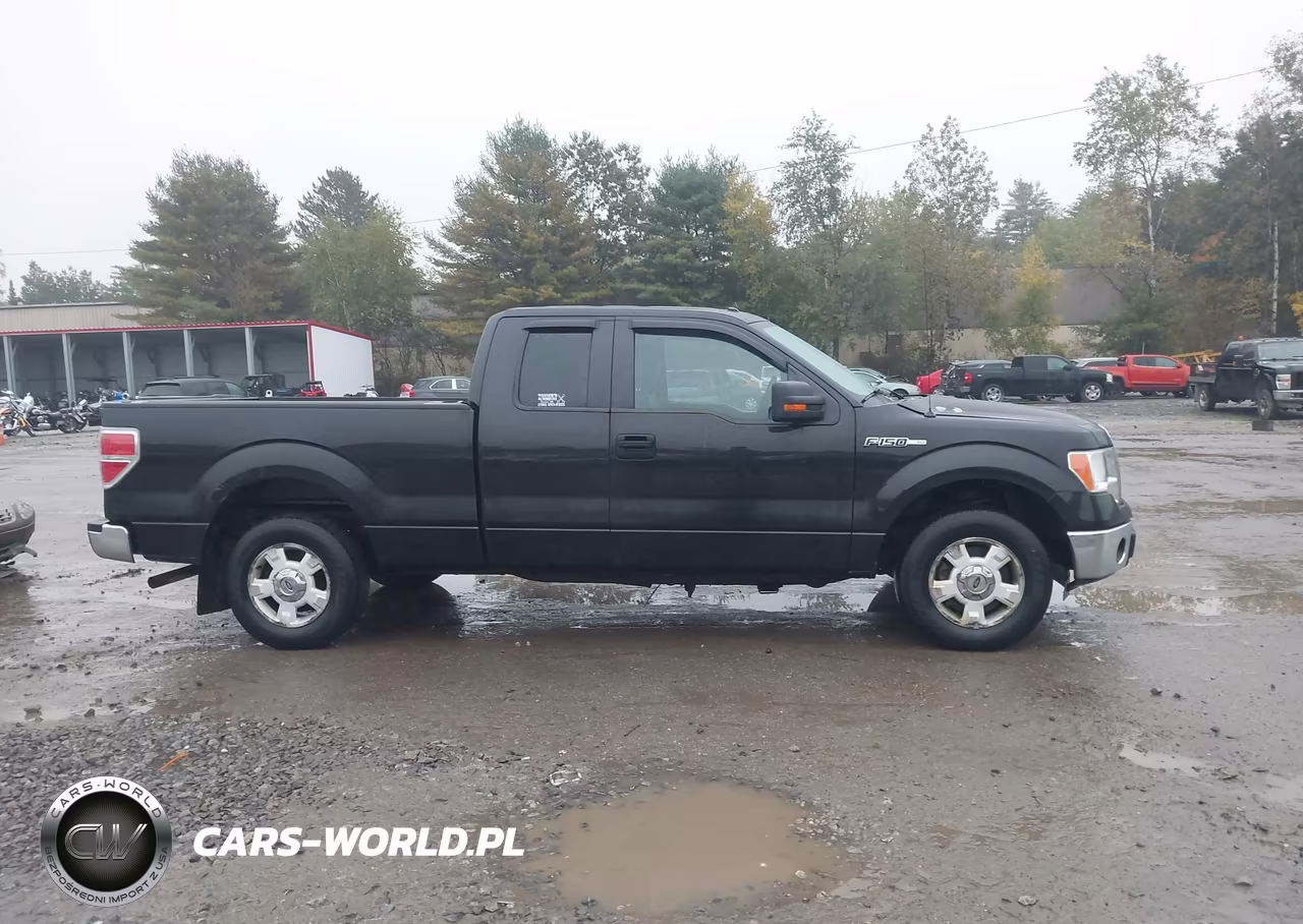 2013 Ford F-150 Xlt VIN:1FTEX1CM8DFD29649 - 13