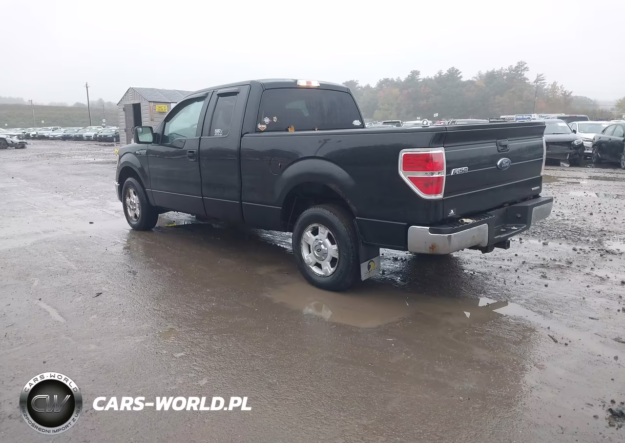 2013 Ford F-150 Xlt VIN:1FTEX1CM8DFD29649 - 3