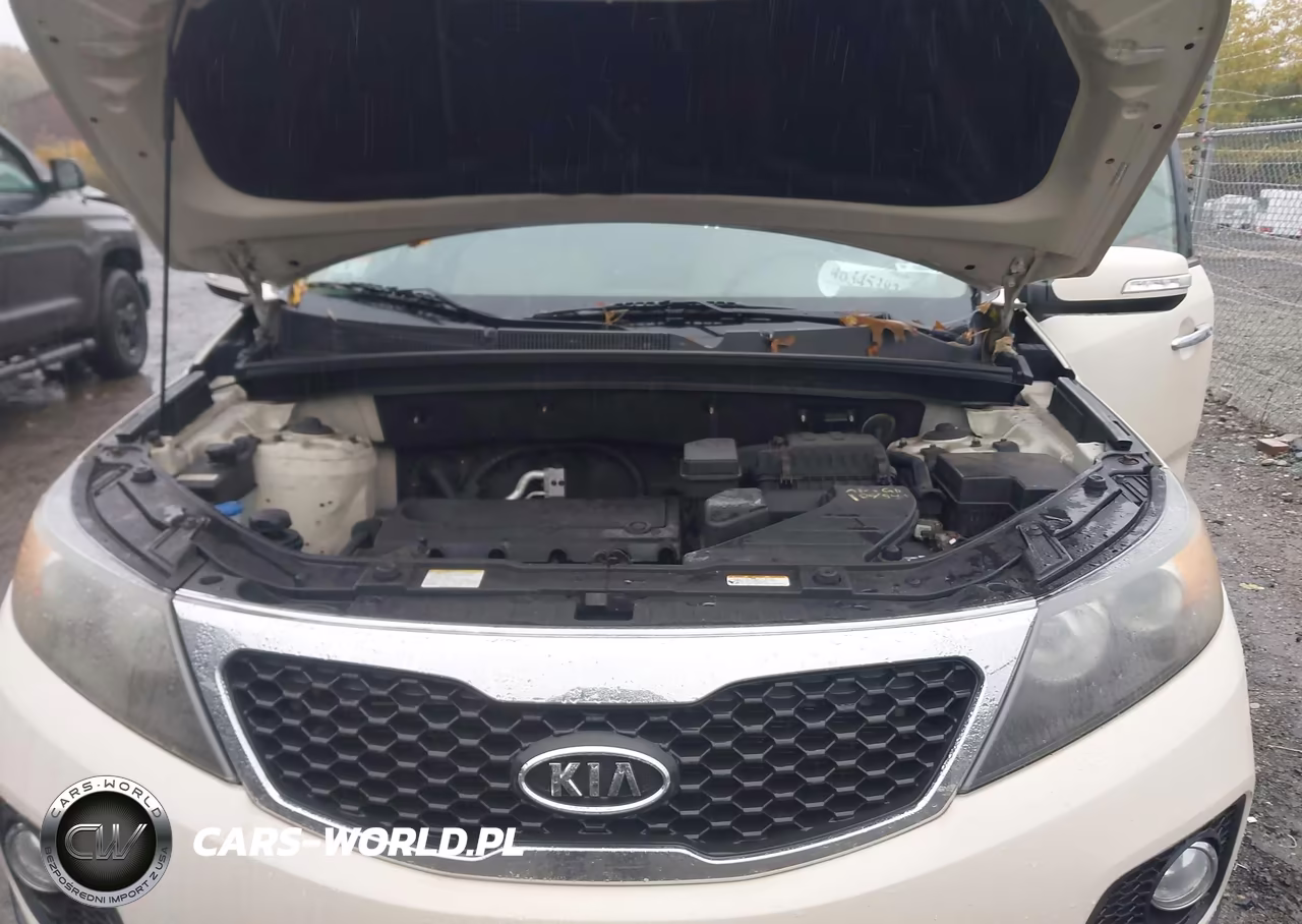 2011 Kia Sorento Ex VIN:5XYKUCA12BG055665 - 10