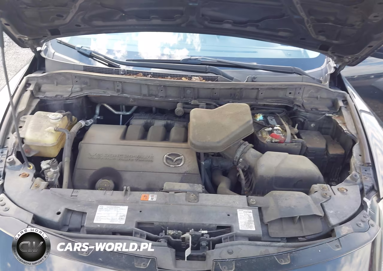 2014 Mazda Cx-9 Touring VIN:JM3TB3CV0E0438497 - 10