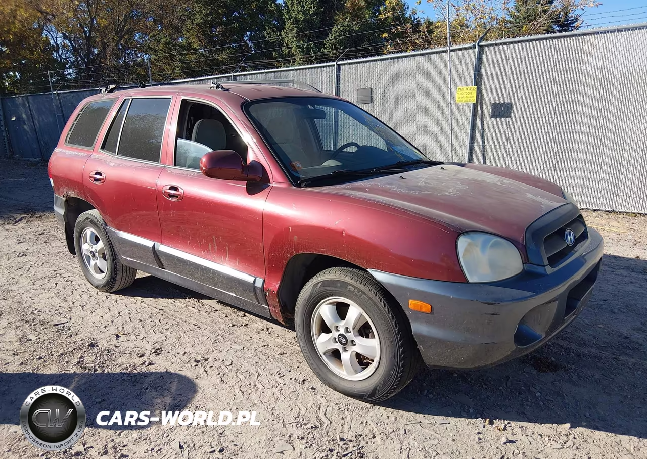 2005 Hyundai Santa Fe Gls-Lx VIN:KM8SC13E15U943569 - 1